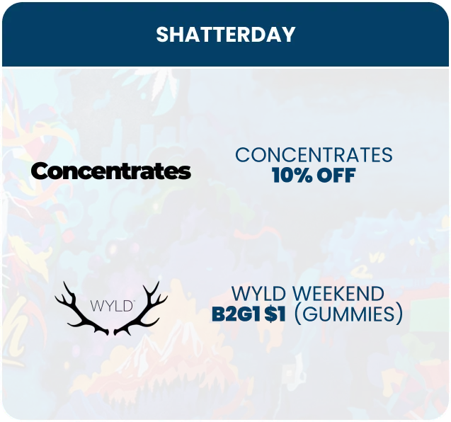 Swish Cannabis: Shatterday