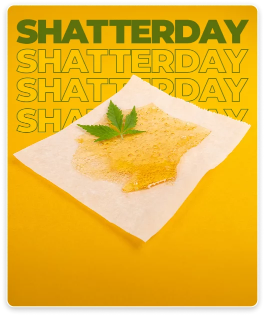 Swish Cannabis: Shatterday