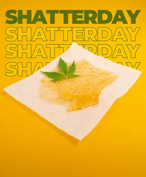 Shatterday: Cannabis concentrate