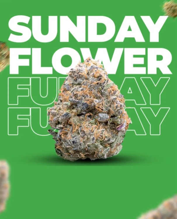 Sunday Flower everyday image